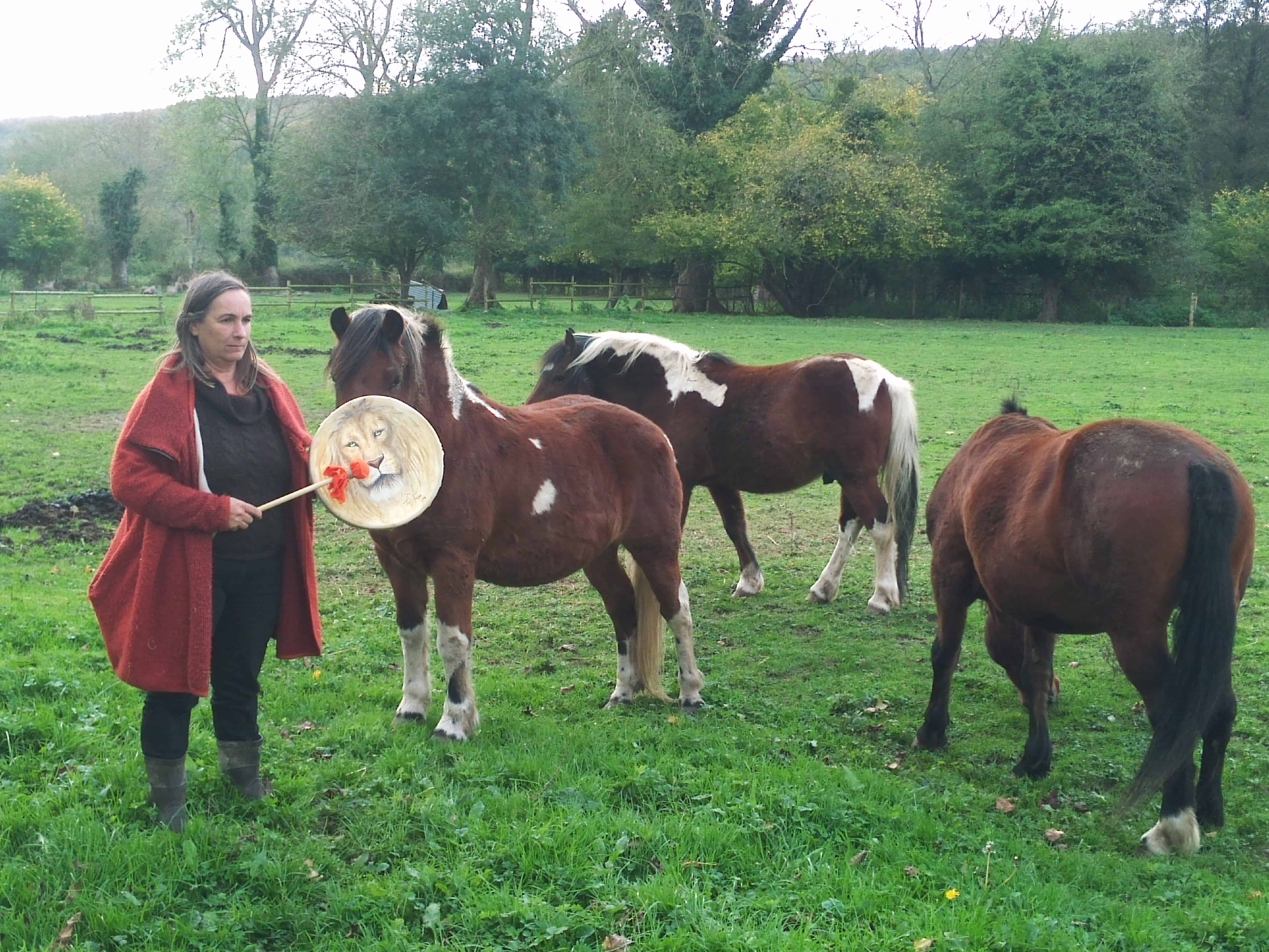 La sagesse des chevaux 7