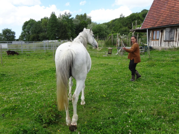 Renaitre à soi avec la nature et les animaux comme guides 12